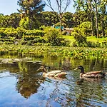 Jardin D'azur-5 By Interhome דירה סיס-פור-לה-פלאז'