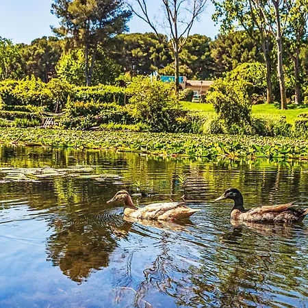 Jardin D'azur-5 By Interhome Apartment Six-Fours-les-Plages